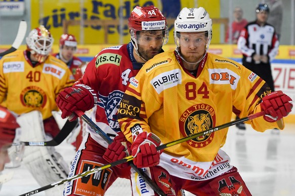 SC Rapperswil-Jona Lakers Stuermer Roman Schlagenhauf, links, gegen Langnaus Eero Elo, beim Eishockey-Meisterschaftsspiel der National League zwischen den SC Rapperswil-Jona Lakers und den SCL Tigers, ...