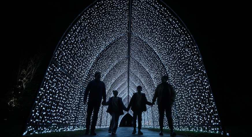 Light installations are displayed at the Christmas light trail at the Kew Gardens in London, Thursday, Nov. 13, 2025. (AP Photo/Kin Cheung)
APTOPIX Britain Christmas Lights Trail