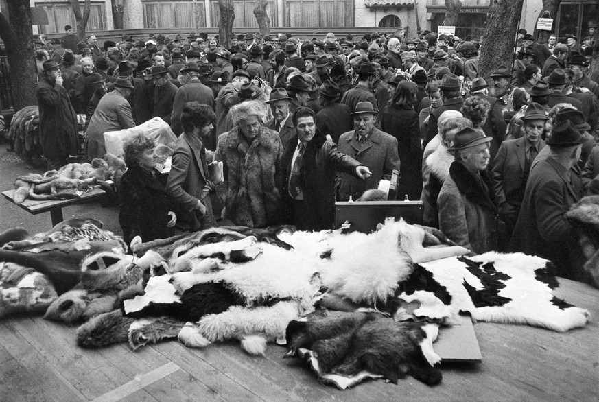 The Central Swiss Fur and Coat Market in Lucerne, taken on 4 February 1975. (KEYSTONE/PHOTOPRESS-ARCHIV/Str)

Der Zentralschweizer Pelz- und Fellmarkt in Luzern, aufgenommen am 4. Februar 1975. (KEYST ...