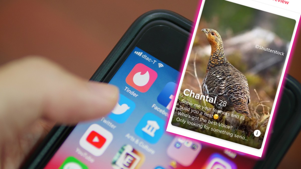 Frühere version tinder Tinder for