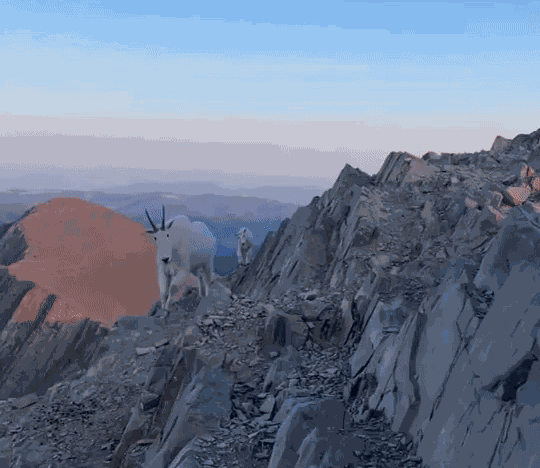 Animiertes GIF