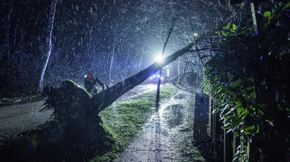 Emergency personnel from the Kiel-Russee Volunteer Fire Department, in the pouring rain, pull a tree that has been blown down by gusts of wind to the ground with a rope in Kiel, Germany, Friday, Feb.  ...