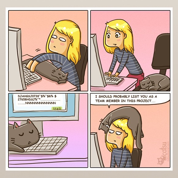 Catsu – Comics über das Leben mit einer Katze von Daria