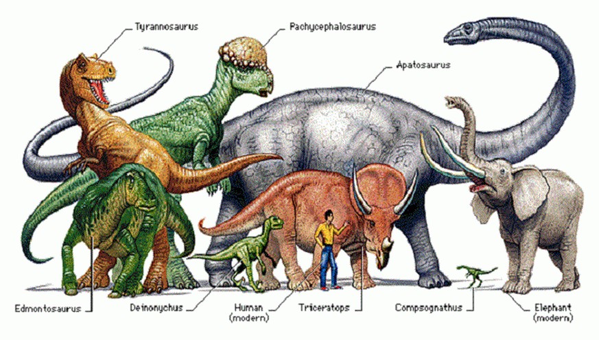 Dinosaurier im Grössenvergleich mit Mensch und Elefant