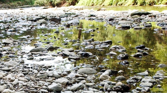 Die Ergolz in der Naehe von Frenkendorf hat am Mittwoch, 23. Juli 2003, einen so tiefen Wasserstnd wie schon kaum einmal. Obwohl es in den letzten Tagen einige gewitterbedingte Niederschlaege gab, ist ...