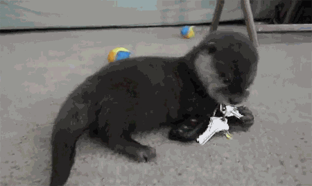 Animiertes GIF