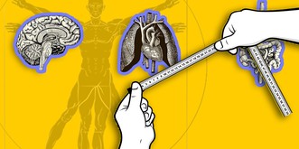 Weisst du eigentlich irgendwas zu deinem Körper? Dieses Quiz bringt dich auf die Welt!