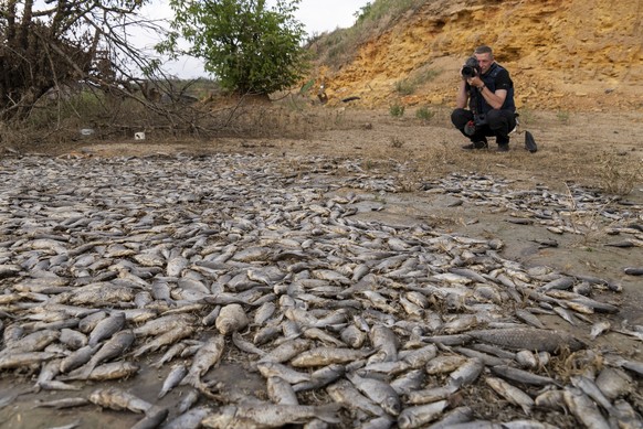 A photographer takes photo of dead fish in the dried-up Kakhovka Reservoir after recent catastrophic destruction of the Kakhovka dam near Kherson, Ukraine, Sunday, June 18, 2023. (AP Photo/Mstyslav Ch ...