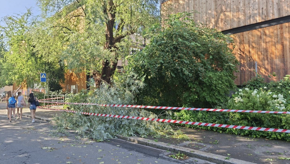 Gewitter Bäume Stadt Zürich Juni 2026