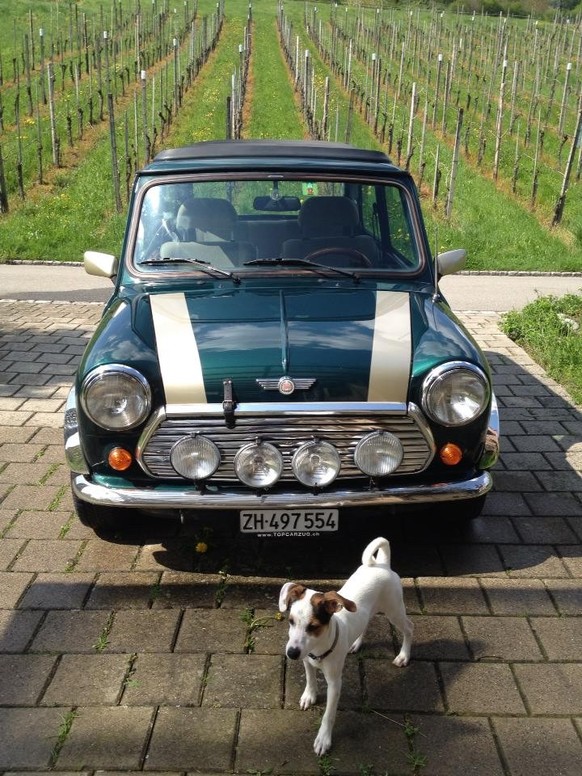 Madge&#039;s Mini. Madeleine Sigrist Jenna ze Dog.