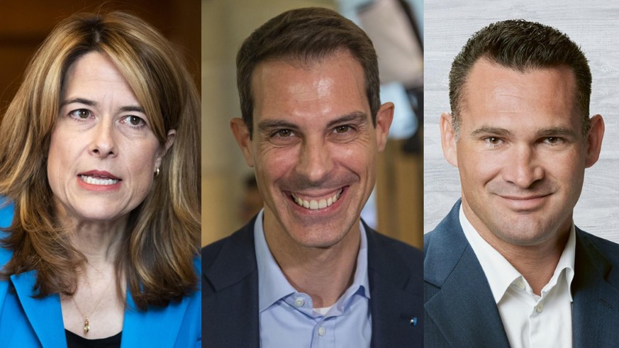 FDP sucht einen Präsidenten – doch (fast) niemand will den Job - Vimarsana News