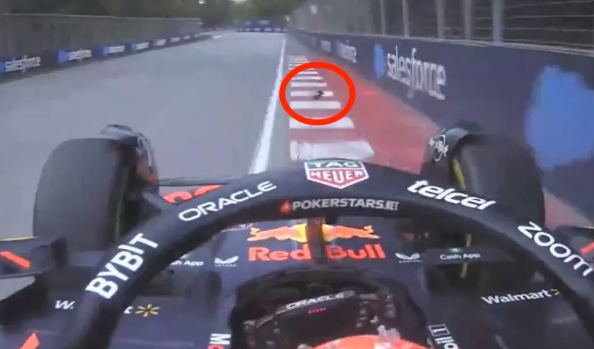 L'oiseau n'a pas vu arriver Max Verstappen lors du Grand Prix du Canada.