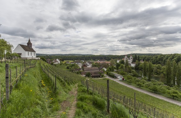 THEMENBILD ZUM STANDORT VORENTSCHEID NAGRA FUER ENDLAGER RADIOAKTIVE ABFAELLE --- Blick ueber Rebberge auf das Kloster Rheinau, aufgenommen am 5. Juni 2013. Das Gebiet Zuerich Nordost/Weinland gilt al ...