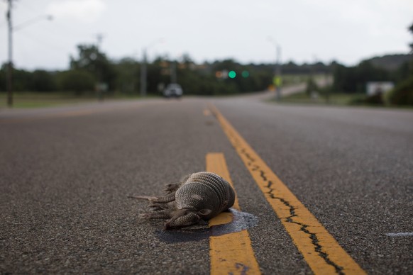 Das Motto von O'Rourke: «In der Mitte der Strasse findet man gelbe Linien und Tote Armadillos.»