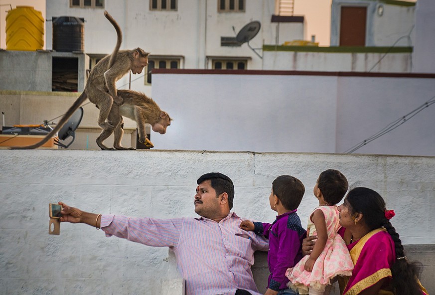 Two monkeys involved in an intimate moment caught the attention of a local family.  The father is the only one who doesn't turn around, too busy taking a selfie.  The candid hilarity of the moment convinces...
