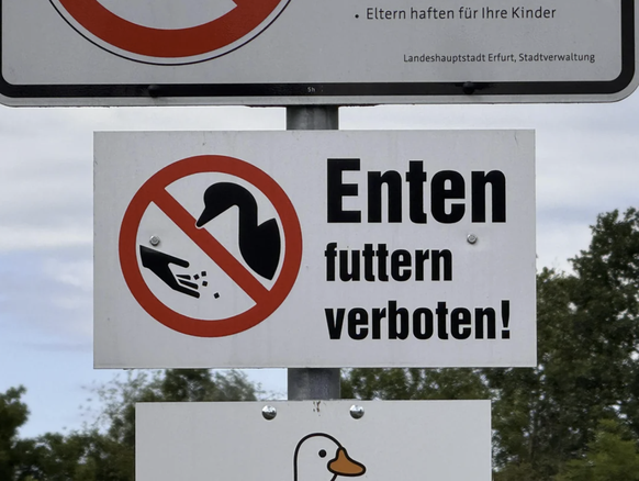 Die lustigsten Fails der Woche: Schild mit Ente