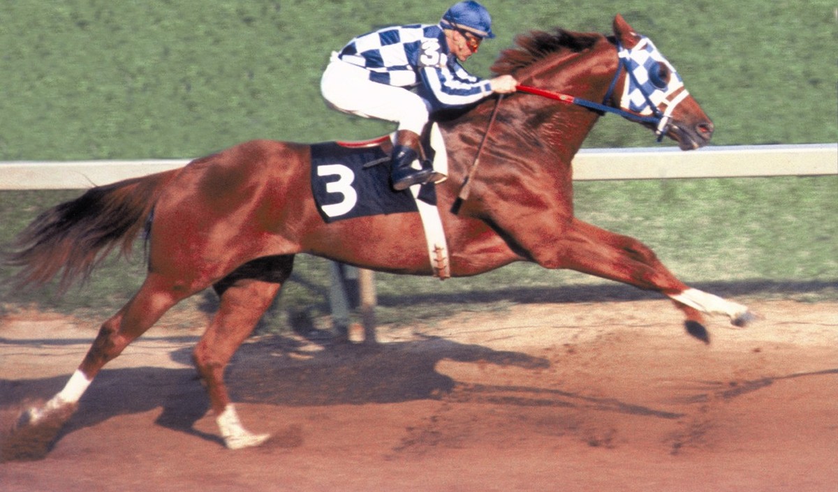Secretariat Preakness 1973