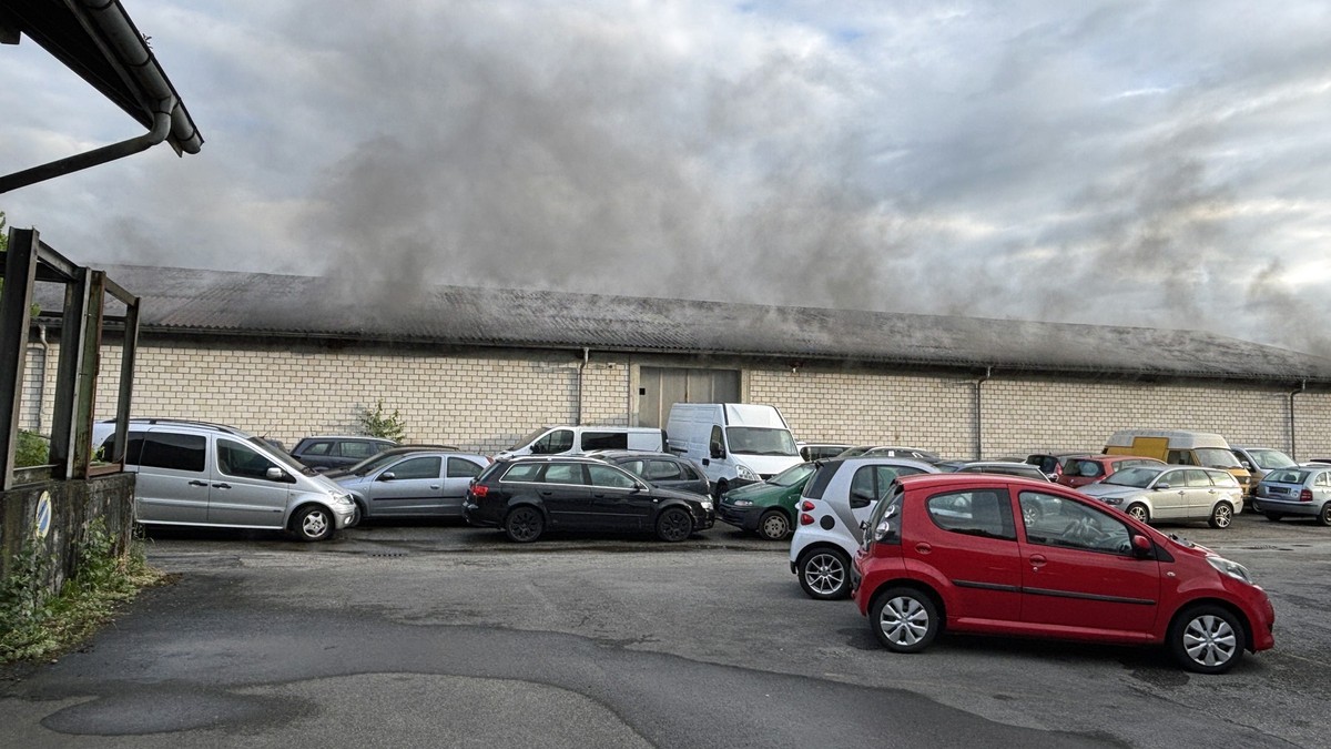 Luzerner-Polizei-vermutet-Brandstiftung-bei-Lagerhalle-in-Sch-tz-LU