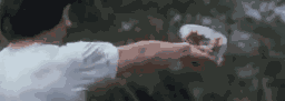 Animiertes GIF