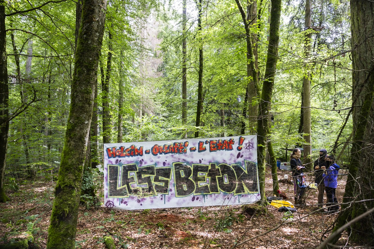 Des activistes montent un camp en foret ce samedi, 15 juin 2024 a Ballens. des activistes de "Grondements des Terres" pour la protection du vivant ont debute l?occupation du Bois de Ballens. ...