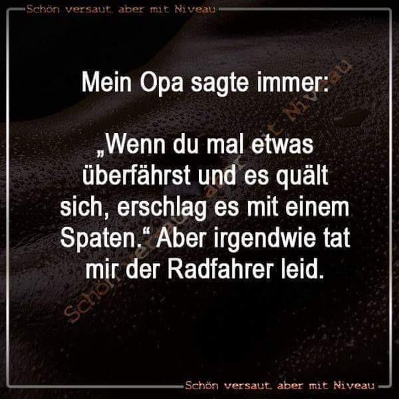 PICDUMP 409 вЂ“ alle versammeln, es geht los!\nOh je... рџљІрџ™Љ