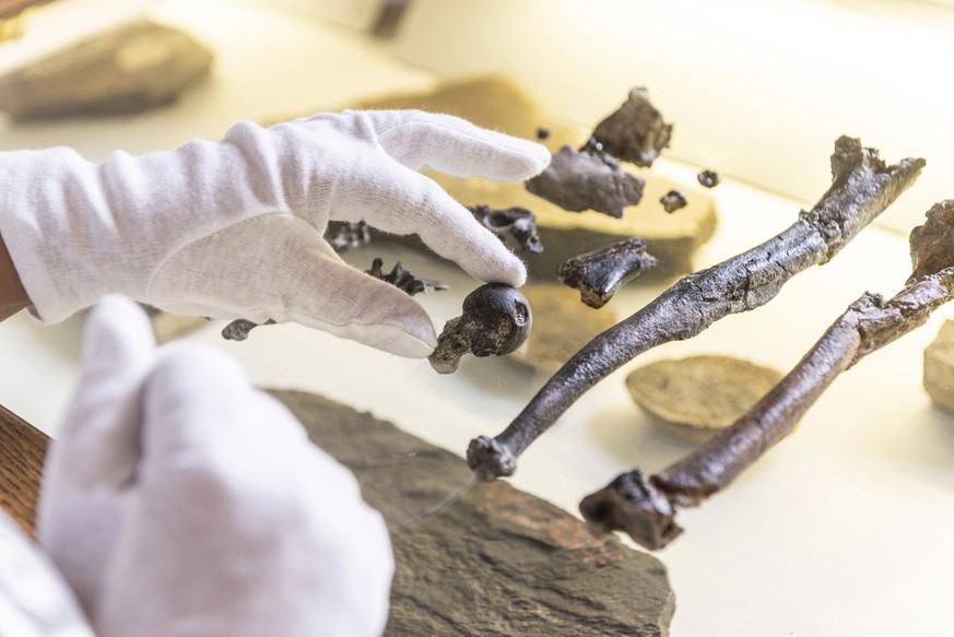 A man holds bones of the previously unknown primate species Danuvius guggenmosi in his hand in Tuebingen, Oct.17, 2019. Palaeontologists have discovered fossils in southern Germany that shed new light ...