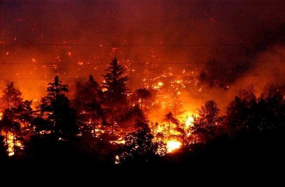 A burning wildfire makes its way up a forest at the surroundings of the Swiss village of Leuk in southern Switzerland, late Wednesday, August 13, 2003. Due to the drought, several wildfires erupted ov ...