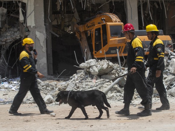 epa09934817 Rescuers lead a dog as the rescue work continues at the destroyed Saratoga hotel, in Havana, Cuba, 08 May 2022. The health authorities raised the number of deaths to 30 in the explosion ca ...