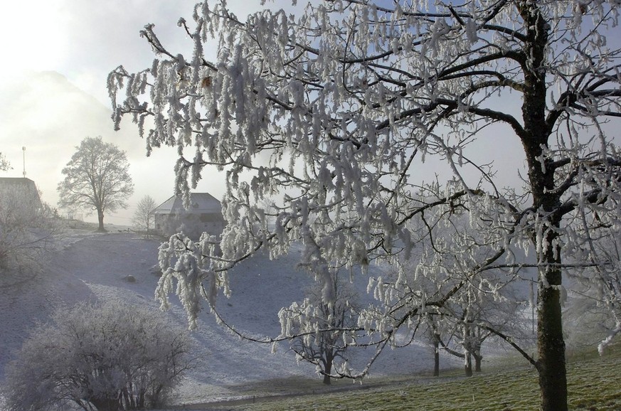 Raureif aus vergangenen Tagen. Bis Weihnachten bleibt es mild und trocken.&nbsp;