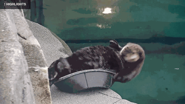 Animated GIF