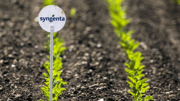 ARCHIVBILD ZUR ZUSTIMMUNG DER UEBERNAHME VON SYNGENTA DURCH CHEMCHINA DURCH DIE AKTIONAERE, AM FREITAG, 5. MAI 2017 - Ein Feld mit jungen Pflanzen und einem Schild mit dem Logo von Syngenta aufgenomme ...