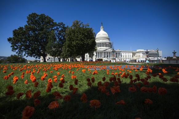 epaselect epa05527309 Paper flowers mark each gun death in the United States since Congress went on summer recess on 15 July, outside the US Capitol in Washington, DC, USA, 06 September 2016. The orga ...