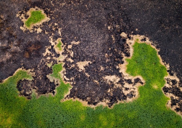 epa10987888 Aerial view of burnt vegetation after a large fire along the MS-184 highway in the Brazilian Pantanal, in the city of Corumba, Brazil, on 19 November 2023 (issued 21 November 2023). The Br ...