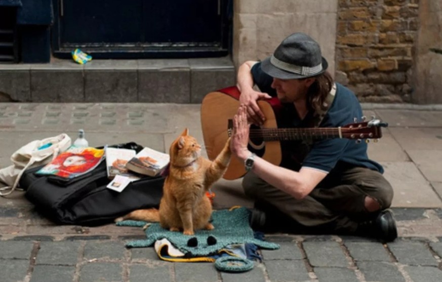 Hier kommt ein Feel-Good-Dump für alle, die ein bisschen Aufmunterung gebrauchen können
Ein Feel Good-Dump... ! Danke! 🤗

Zum nachfolgenden Bild hätte man aber auch noch die Story erzählen können,  ...