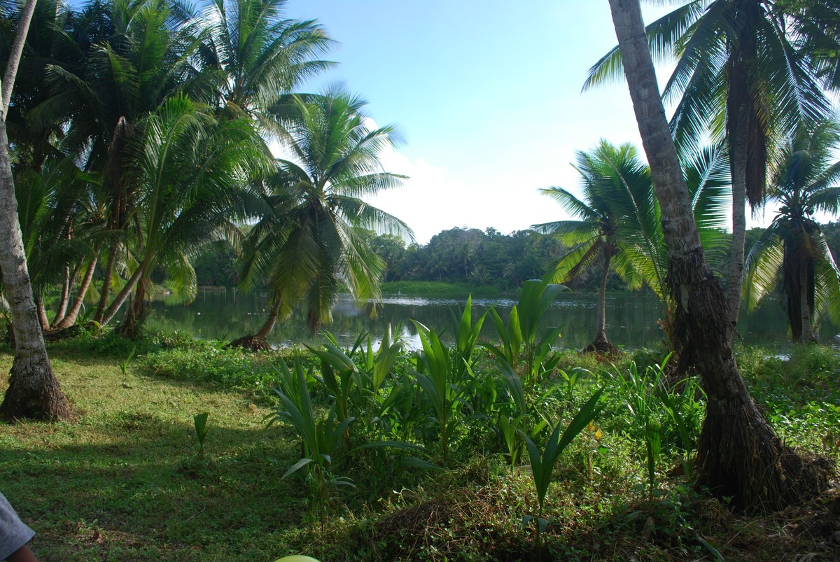 Lagune auf Nauru.