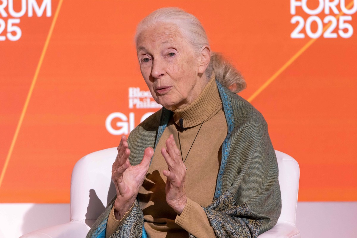 Jane Goodall, a primatologist and ethologist, died at age 91 Jane Goodall, a primatologist and ethologist, died at age 91, pictured in a file photo on September 24, 2025 at the Bloomberg Philanthropie ...