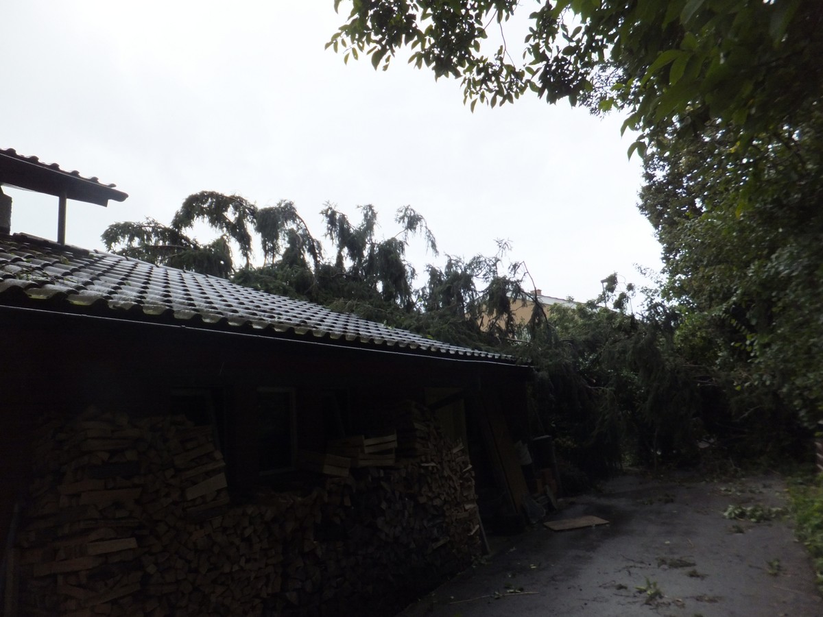 In Balgach musste die Feuerwehr an der Weierseggstrasse einen Baum entfernen, der auf ein Haus gestürzt war. (Bild: Kapo St.Gallen)