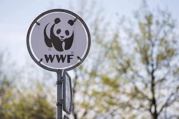 Le logo du WWF (World Wide Fund for Nature) photographie au siege International du WWF, ce jeudi 7 avril 2016, a Gland (VD). L&#039;ONG prevoit la suppression d&#039;&#039;une centaine d&#039;emplois  ...