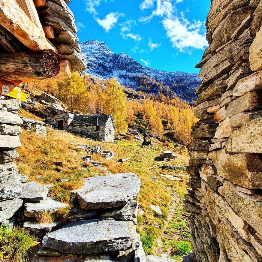 Alpe d&#039;Efra Lago d&#039;Efra Rauszeit Herbstwanderungen Lärchen