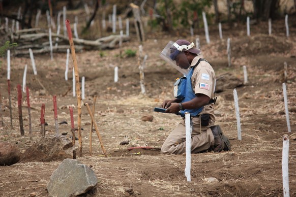 A handout photo obtained from The HALO Trust, shows Supervisor Jose Manuel preparing demolition charges at the Cahora Bassa minefield in Tete Province in Mozambique on August 5, 2014. Jose has destroy ...