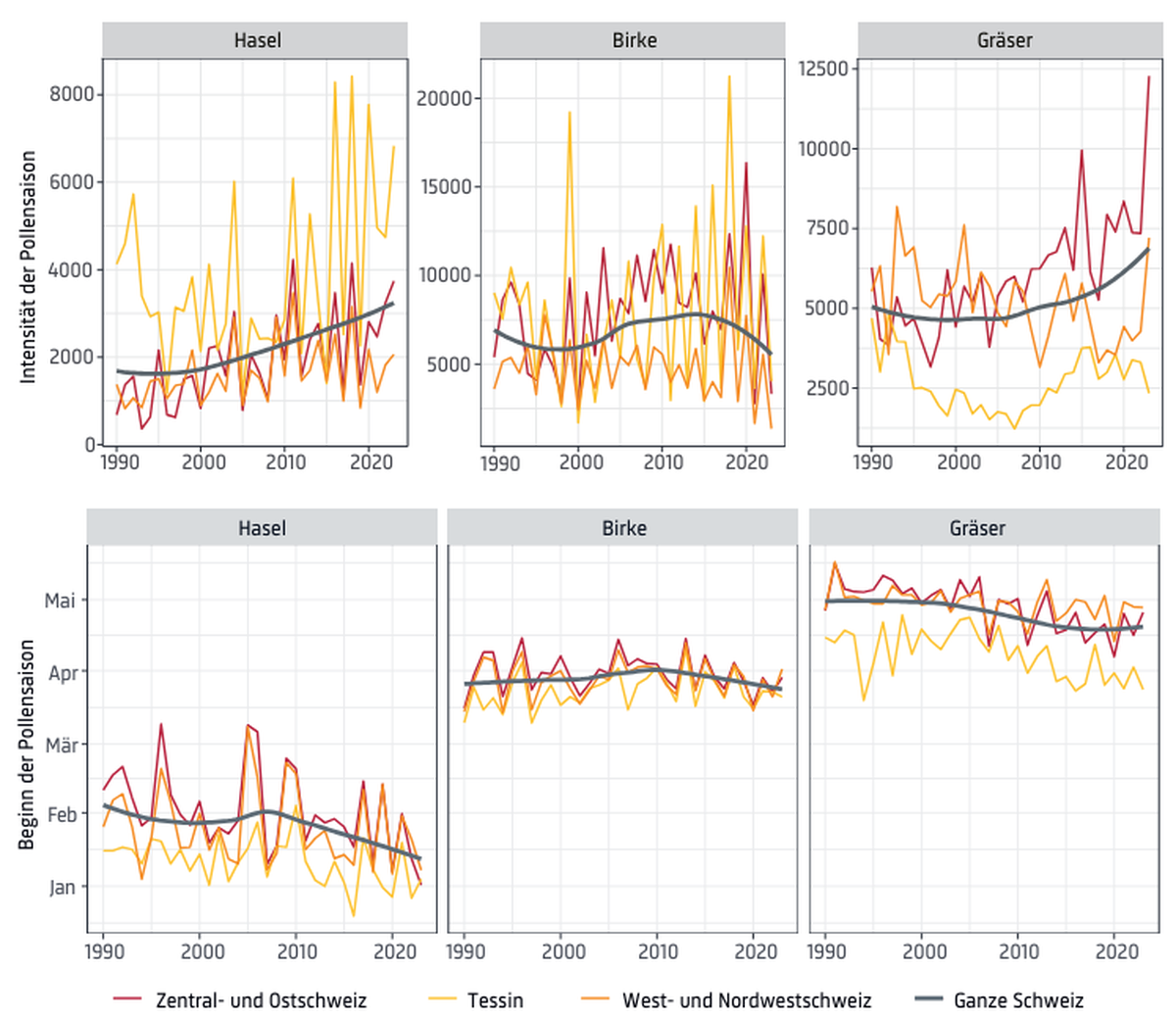 Die Intensität (die Summe der täglichen Pollenkonzentrationen über die ganze Saison, oben) und der Beginn der Pollensaison (unten) von Hasel, Birke und Gräsern verändern sich in der Schweiz mit einer  ...