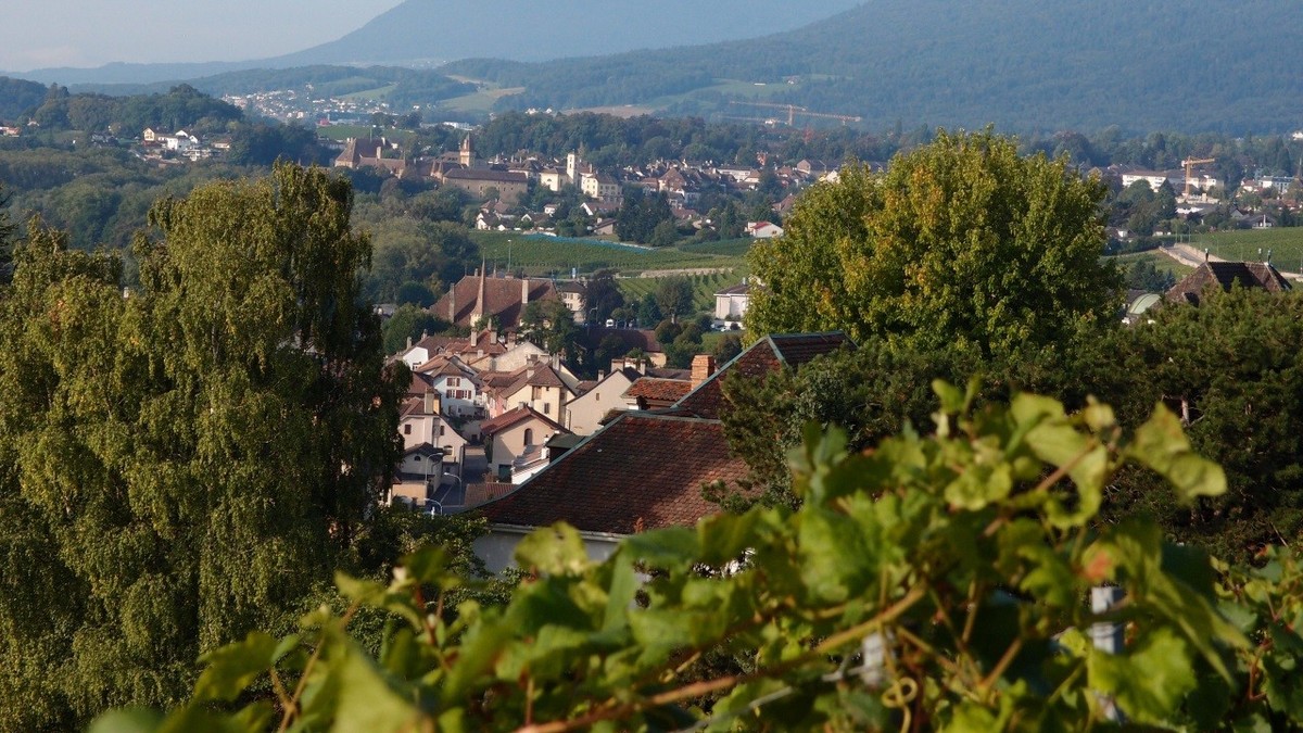 Dans le canton de Neuchâtel, Milvignes regroupe les villages de Colombier, Auvernier et Bôle.
