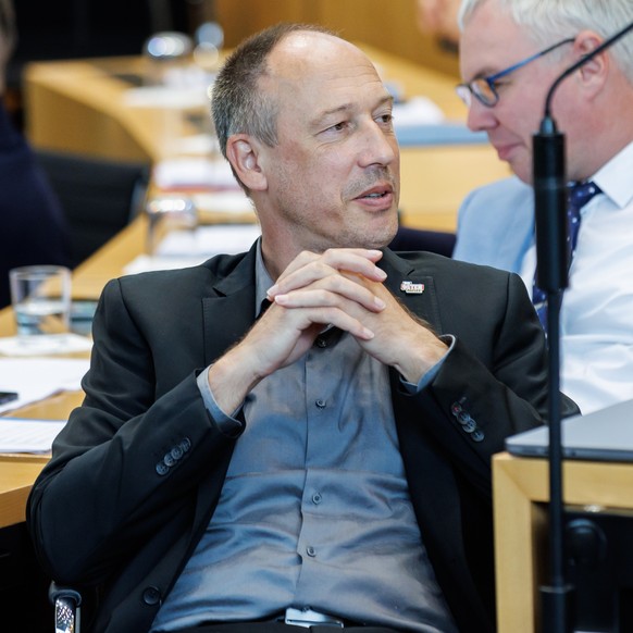 Ringo Mühlmann (AfD)