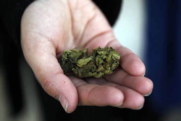 epa06097608 A close-up view of recreational marijuana in Montevideo, Uruguay, 19 July 2017. Uruguay is the first nation in the world to legalize the production and sale of marijuana for recreational u ...