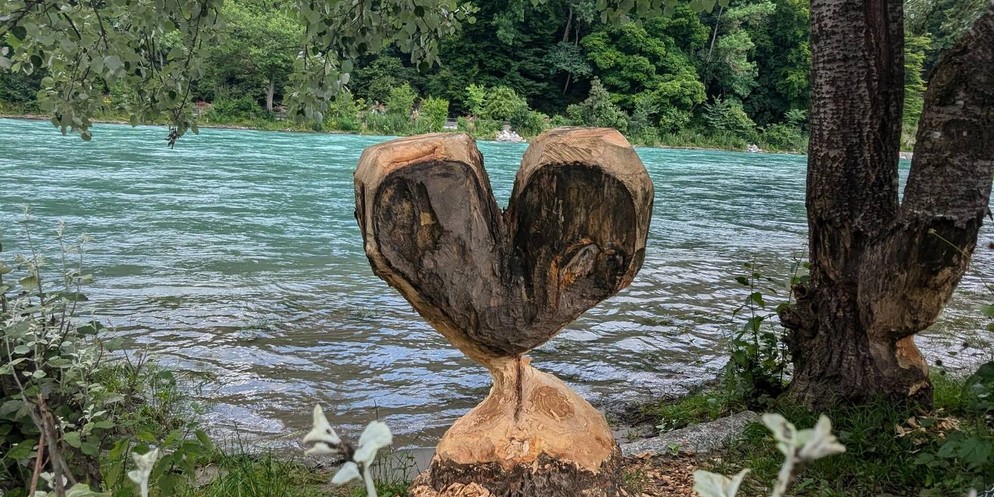 Holz-Herz im Eichholz an der Aare.