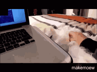 Animiertes GIF