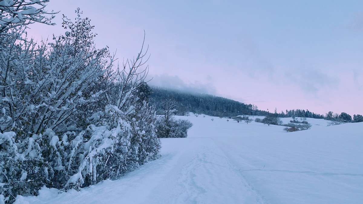 Ihr-schickt-uns-Schneebilder-und-es-ist-