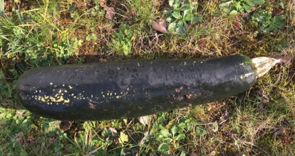 Die Zucchetti «sah wirklich aus wie eine Bombe», so die Polizei.