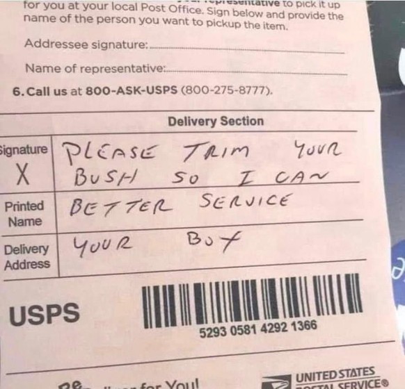 Sexy Memes (Vertretung)