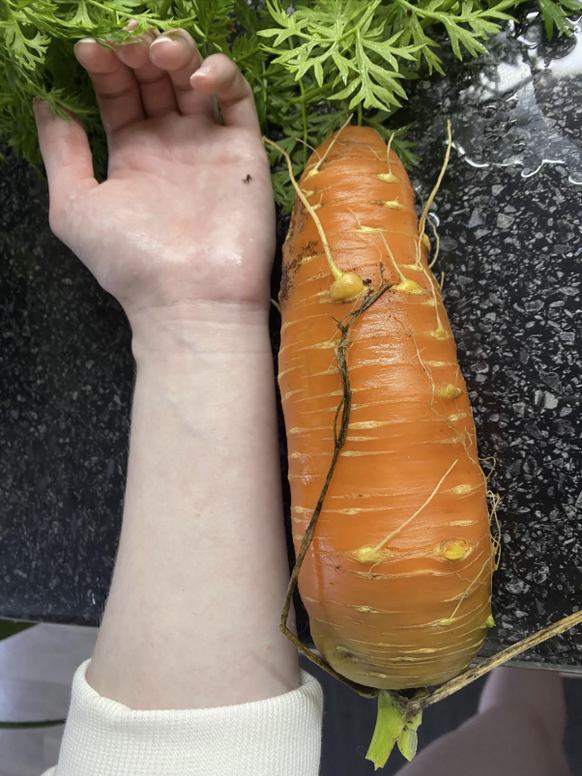 Garten und Haus Wins